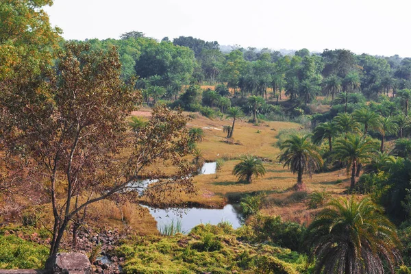 Landscape View Village Surronded Green Tress Small Water Stream Flowing — Stock Photo, Image