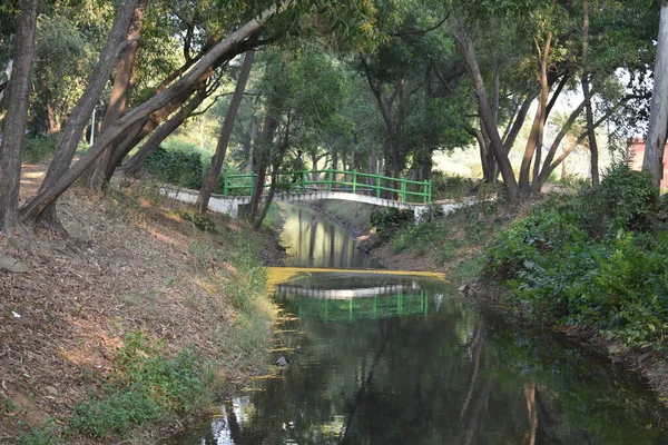 Puente Justo Encima Río Que Fluye Través Del Medio Bosque — Foto de Stock