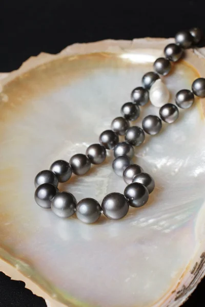 Schwarze Perlenketten auf Perlmuschel — Stockfoto
