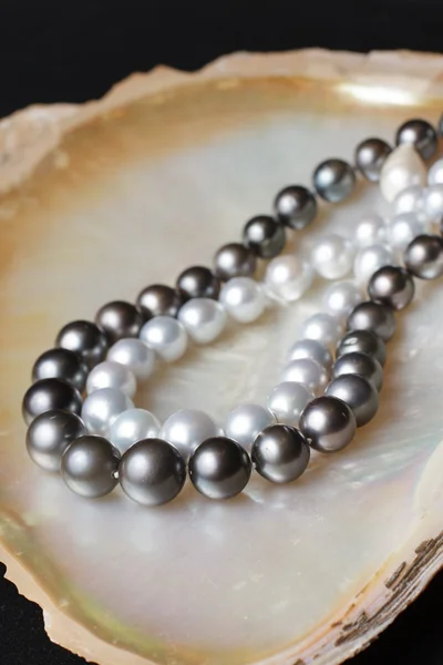 Collares de perlas blancas y collares de perlas negras en concha de perlas Imagen De Stock