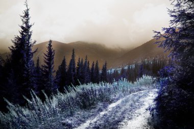 Güzel dağlar ve ağaçlar