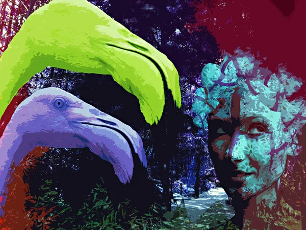 Collage Hintergrund mit Frau und Flamingos — Stockfoto