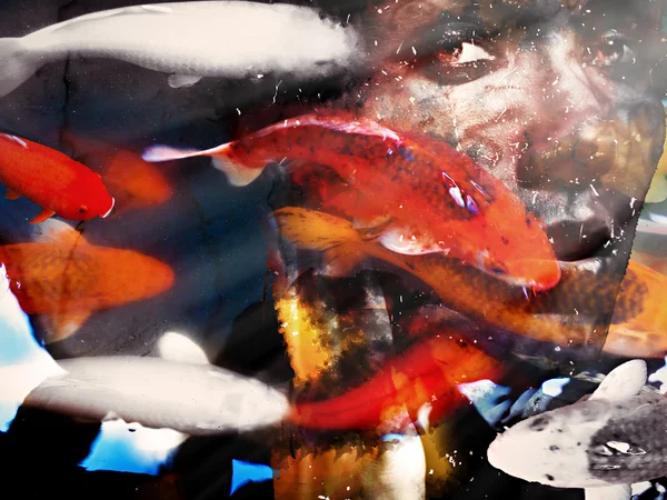 Collage Hintergrund mit Frau und Fisch — Stockfoto