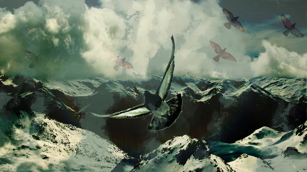 Karlı Dağların üzerinden uçan güvercinler — Stok fotoğraf