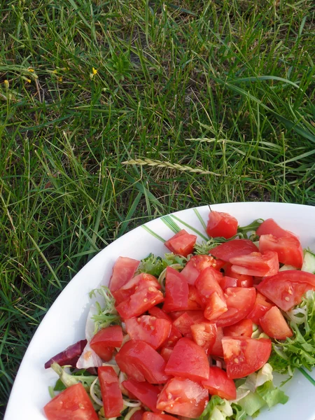 Piatto con insalata su fondo erba — Foto Stock