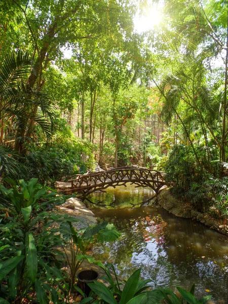 Naturaleza tropical en Tailandia —  Fotos de Stock