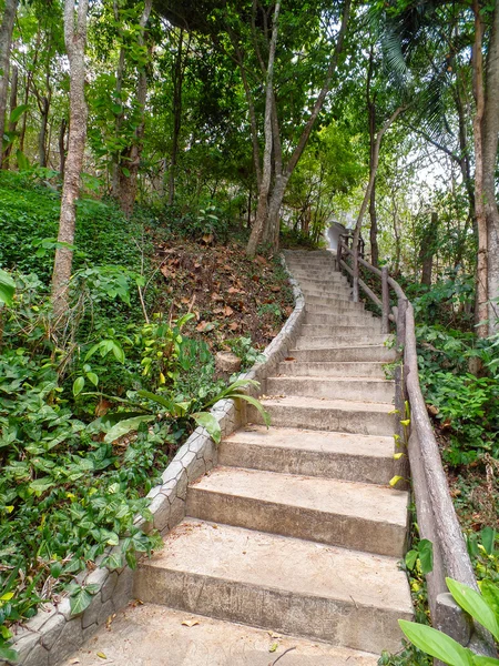 Stone staircase leading up in the forest — Stock Photo, Image