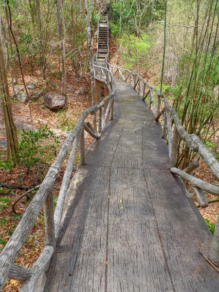 Деревянная лестница в лесу — стоковое фото