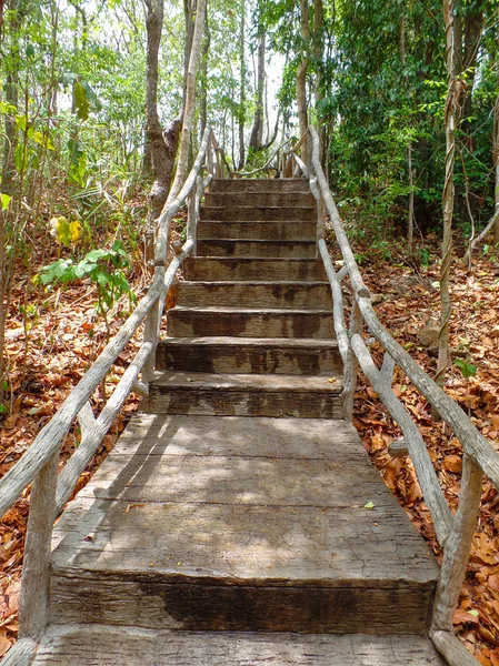 Escalera de madera en el bosque — Foto de Stock