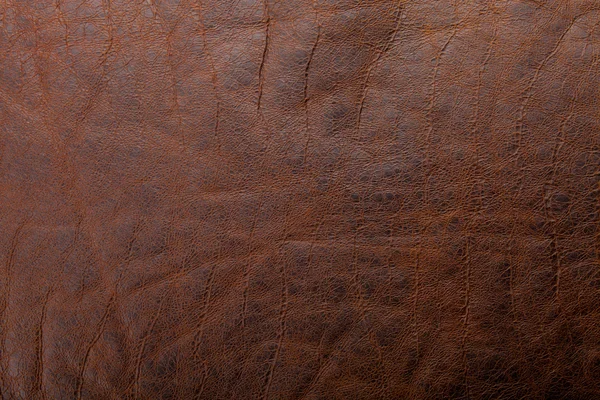 Textura de cuero bronceado marrón primer plano —  Fotos de Stock