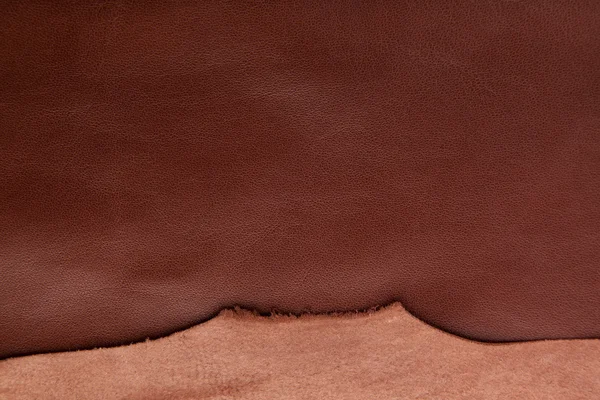 Brun garvat läder textur närbild — Stockfoto