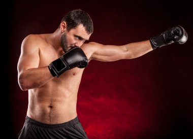 Stüdyo çekim kas boksör