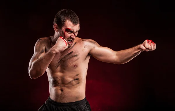 Muskulöser Boxer beim Studioshooting lizenzfreie Stockbilder