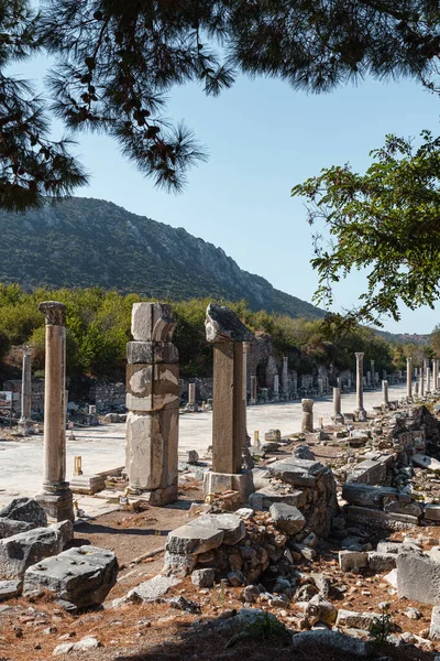 Romok Ókori Görög Városban Ephesus Vagy Efes Ionia Tenger Partján — Stock Fotó