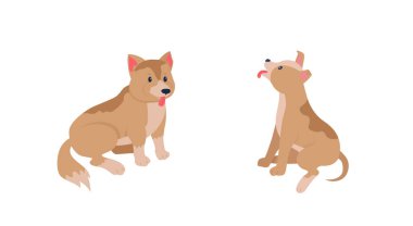 Mutlu köpek yavruları düz renk vektörü detaylı karakter seti. Dost canlısı köpek bakıcılığı. İtaatkar evcil hayvan. Web grafik tasarımı ve animasyon koleksiyonu için evcil hayvan bakımı izole edilmiş çizgi film çizimi