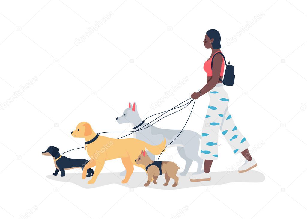 African american girl walking dogs on leashes flat color vector detailed character. Professional walker service. Pet care isolated cartoon illustration for web graphic design and animation