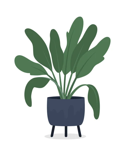 Dieffenbachia Houseplant Pot Semi Flat Color Vector Object Plně Velká — Stockový vektor