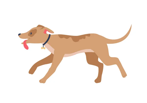 Laufender Hund Mit Rosafarbenen Ohren Mit Halbflachem Farbvektorcharakter Ganzkörpertier Auf — Stockvektor