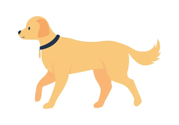 Golden Retriever Adoption Semi Flat Color Vector Character Full Body — Stockvector