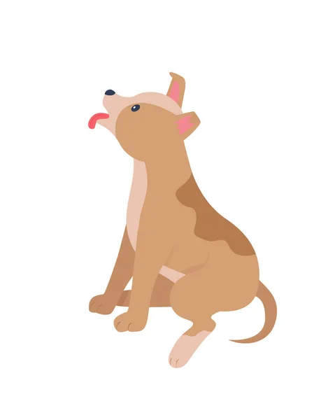 Adoptar Cachorro Desde Extranjero Carácter Vector Color Semi Plano Animal — Vector de stock