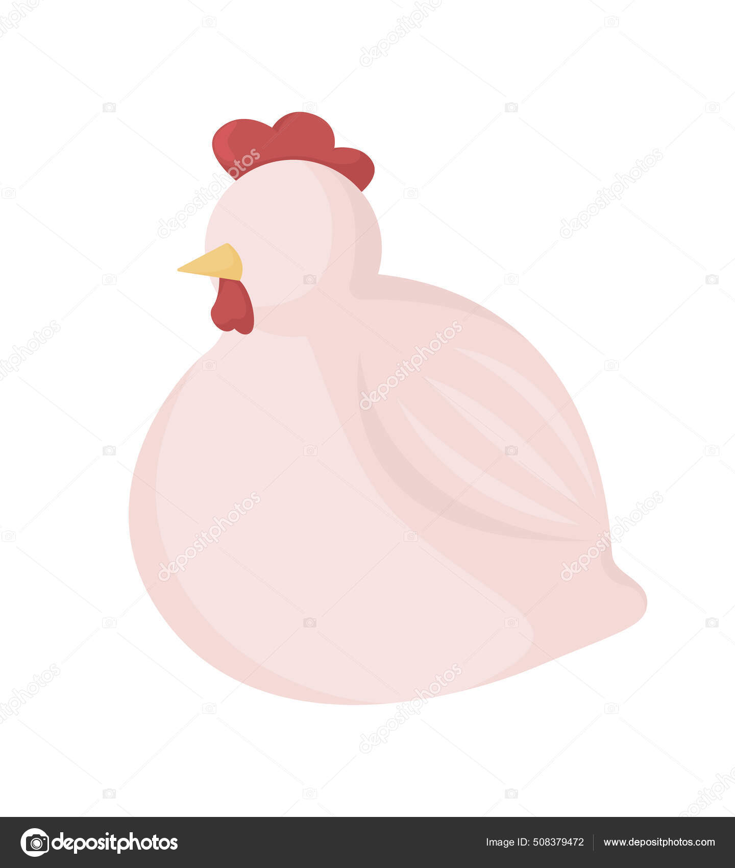 Desenhos animados coloridos isolados animais galinha e galo
