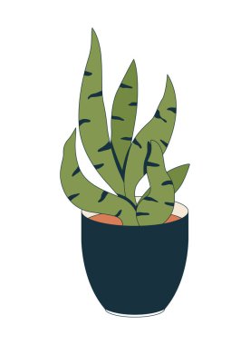 Sansevieria yılan bitkisi parlak siyah tencerede 2D karikatür nesnesinde. Dracaena trifasciata saksısı, kayınvalidesi ev bitkisi saksısı izole element düz vektör klipsleri beyaz üzerine. Benek illüstrasyonu