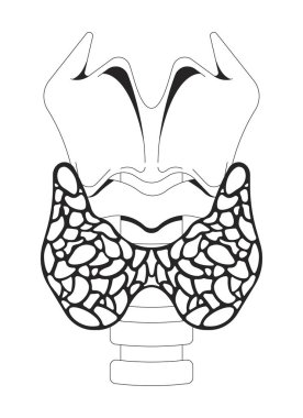 Gırtlak ve trakea anahatlı tiroid anatomisi. Hormon üretim organı. Kelebek şekilli endokrin bezi diyagramı. Beyazda izole edilmiş 2B çizgi nesnesi. Tek renkli vektör mürekkep çizgisel resmi