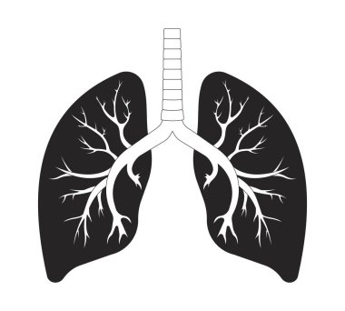 Bronşların dış hatlarıyla çizilmiş sağlıklı insan ciğerleri. Solunum organı, soluk borusu. Solunum sistemi, dahili solunum yolları 2D hat nesnesiyle beyazda izole edildi. Tek renkli vektör mürekkep çizgisel resmi