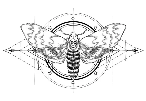 Traça preta e branca sobre signo de geometria sagrada, ilustração vetorial isolada. Flash de tatuagem. Símbolos místicos e insectos. Alquimia, ocultismo, espiritualidade, livro para colorir. —  Vetores de Stock