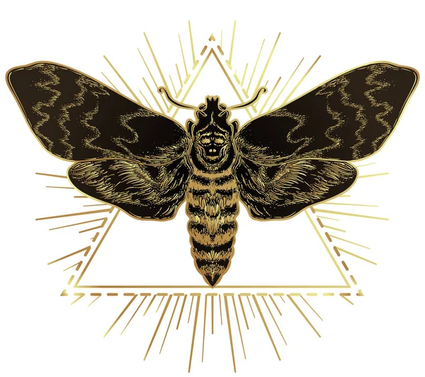 Золотий метелик над священним знаком геометрії, ізольовані Векторні ілюстрації. Татуювання спалаху. Містичні символи і комахи в золоті. Алхімія, окультизм, духовність . — стоковий вектор