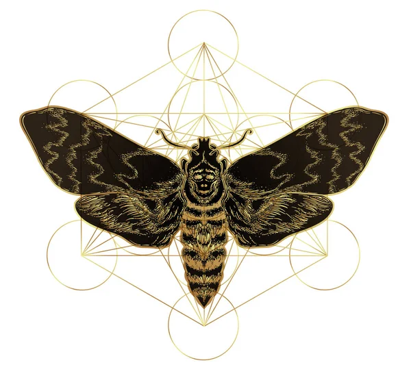 Золотая моль над знаком сакральной геометрии, изолированная векторная иллюстрация. Татуировка. Мистические символы и насекомые в золоте. Алхимия, оккультизм, духовность. — стоковый вектор