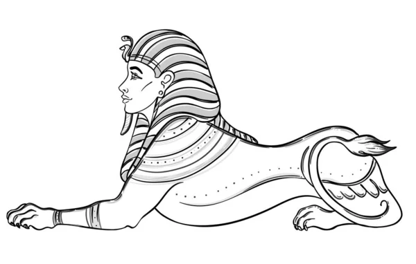 Sfinx, egyptisk mytisk varelse med huvud av människa, kropp lejon och vingar. Handritad vintage vektor kontur illustration. Tatuering blixt, t-shirt eller affisch design, vykort. — Stock vektor