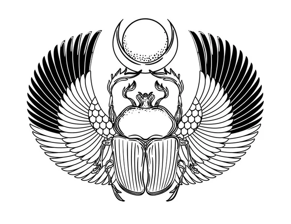 Scarabaeus sacer, Dung beetle. Sacred symbol of in ancient Egypt. Fantasy ornate insects. Isolated vector illustration. — Stock Vector