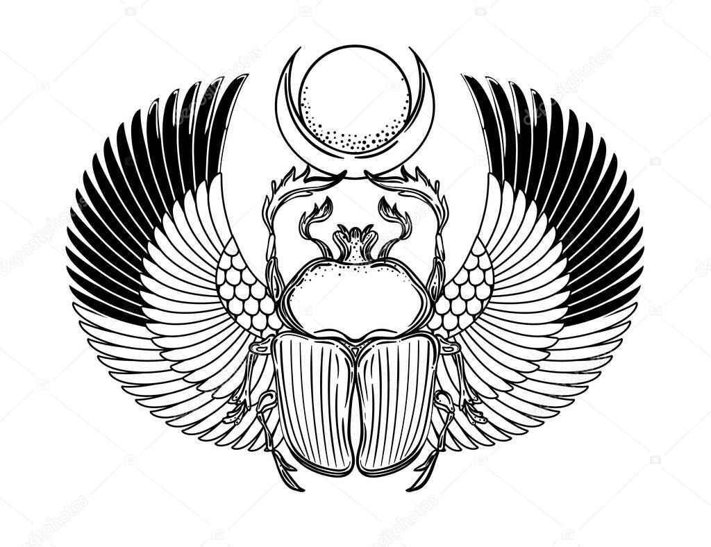 Scarabaeus sacer, Dung beetle. Sacred symbol of in ancient Egypt. Fantasy ornate insects. Isolated vector illustration.