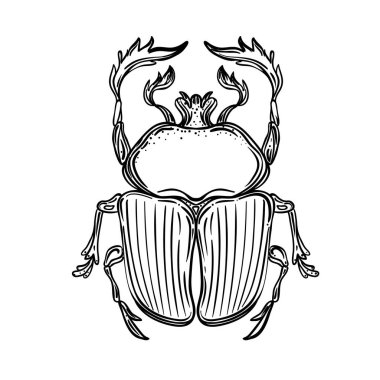 Scarabaeus sacer, Dung beetle. Sacred symbol of in ancient Egypt. Fantasy ornate insects. Isolated vector illustration. clipart