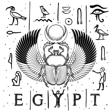 Scarabaeus sacer, bok böceği. Eski Mısır 'ın kutsal sembolü. Süslü püslü böcekler. İzole vektör illüstrasyonu.