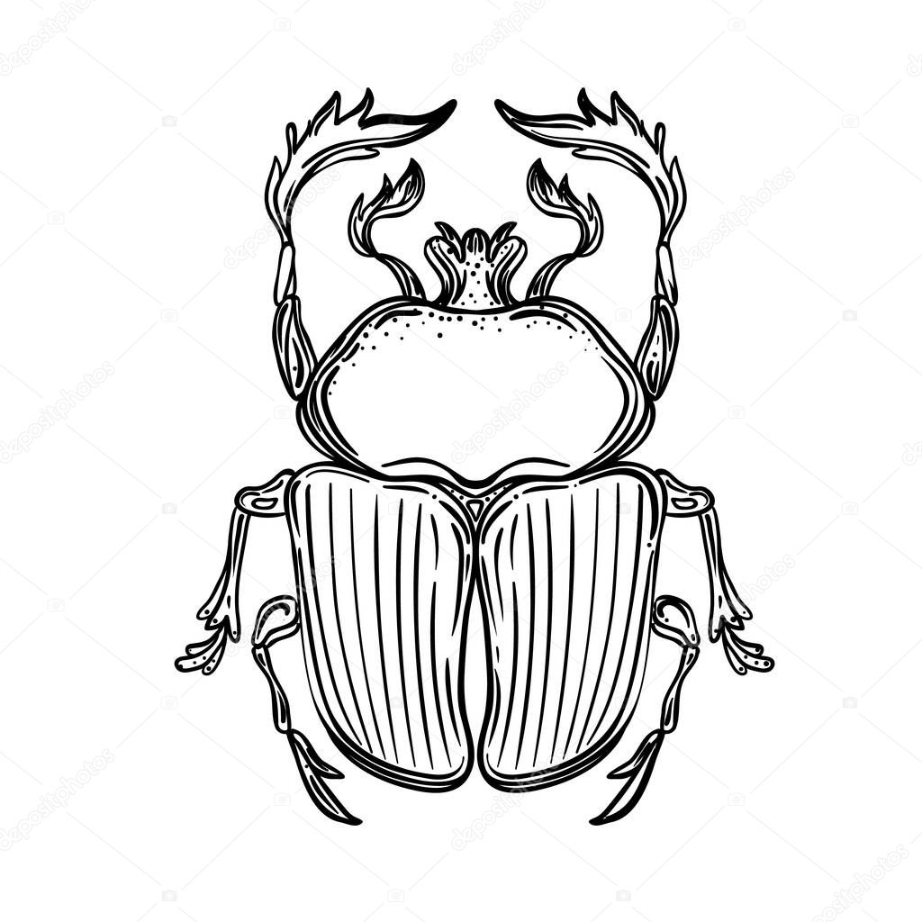 Scarabaeus sacer, Dung beetle. Sacred symbol of in ancient Egypt. Fantasy ornate insects. Isolated vector illustration.