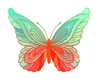 Beyaz arkaplanda kelebek