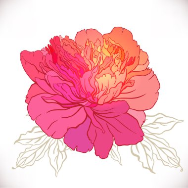 Vintage hand-drawing flower.