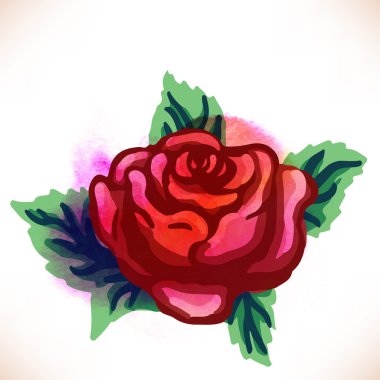 kırmızı gül. suluboya resim 