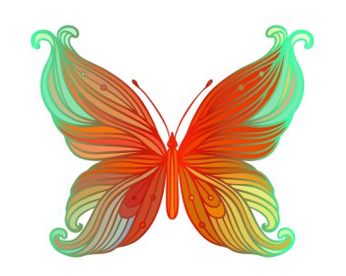 Beyaz arkaplanda kelebek