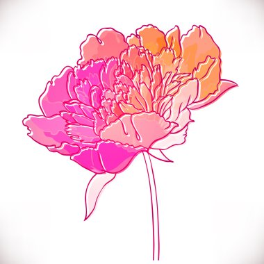 Vintage hand-drawing flower.
