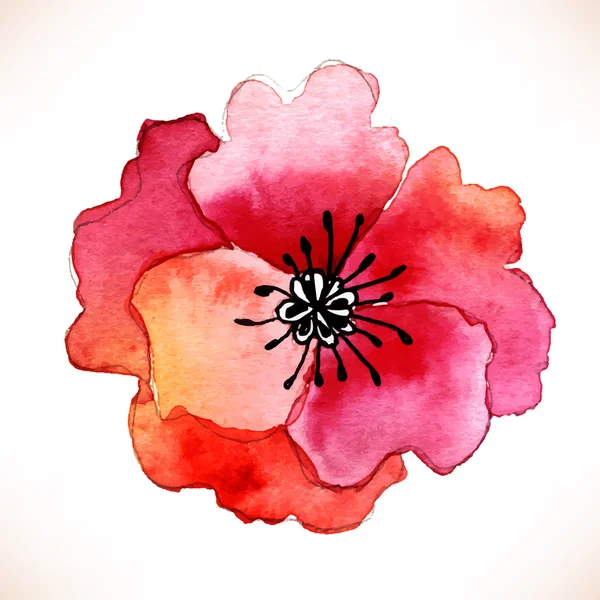 Rote Aquarellmohnblume — Stockvektor