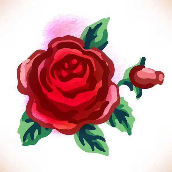 Rosa Roja. Ilustración en acuarela — Vector de stock