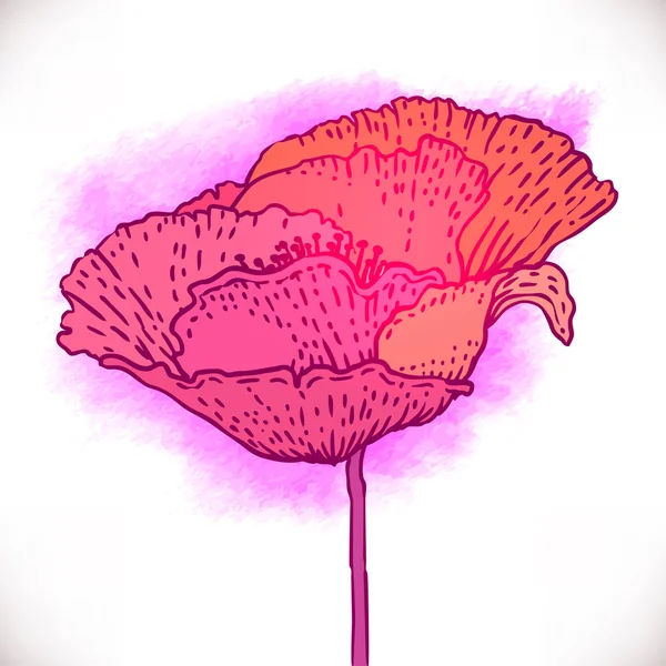 Flor de dibujo a mano vintage . — Vector de stock