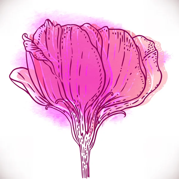 Vintage fleur dessin à la main . — Image vectorielle