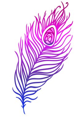 renkli tavus kuşu tüyü