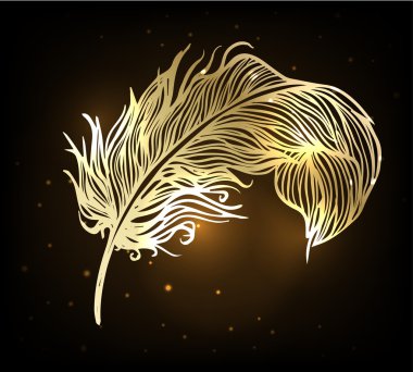 Koyu arka plan üzerinde parlak altın tüy.