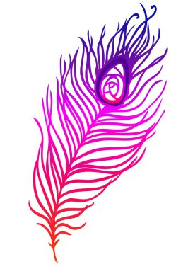 renkli tavus kuşu tüyü