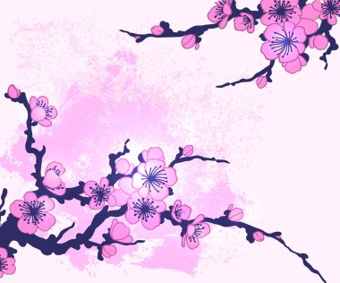 Sakura çiçek dalları